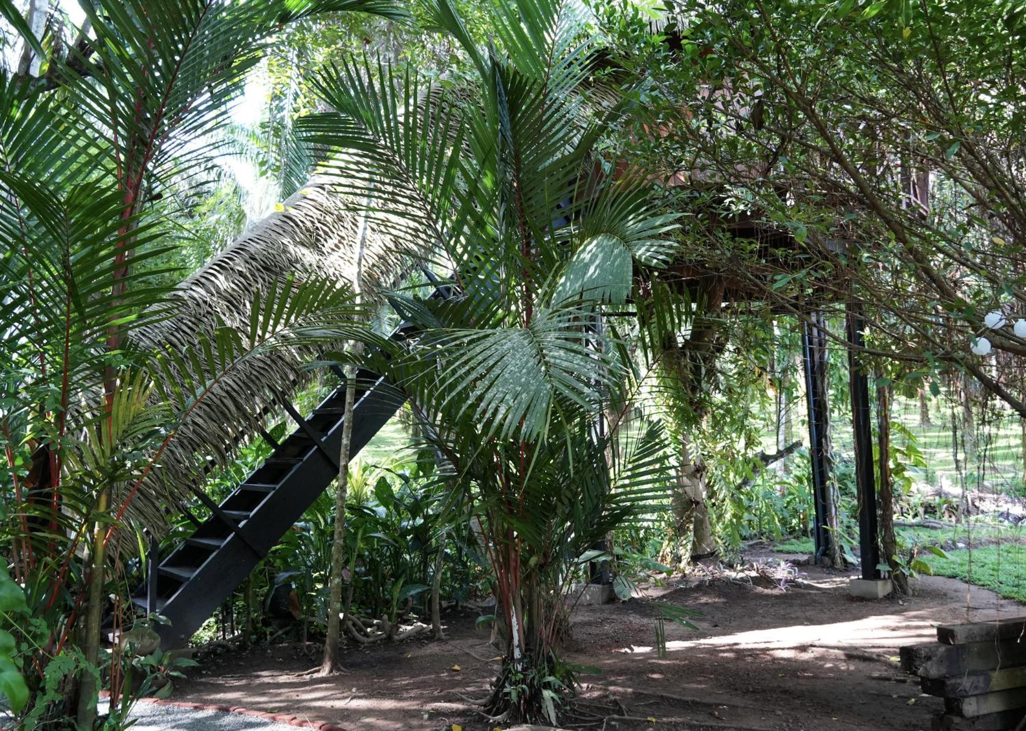 Huma Terra Lodges Hikkaduwa Extérieur photo