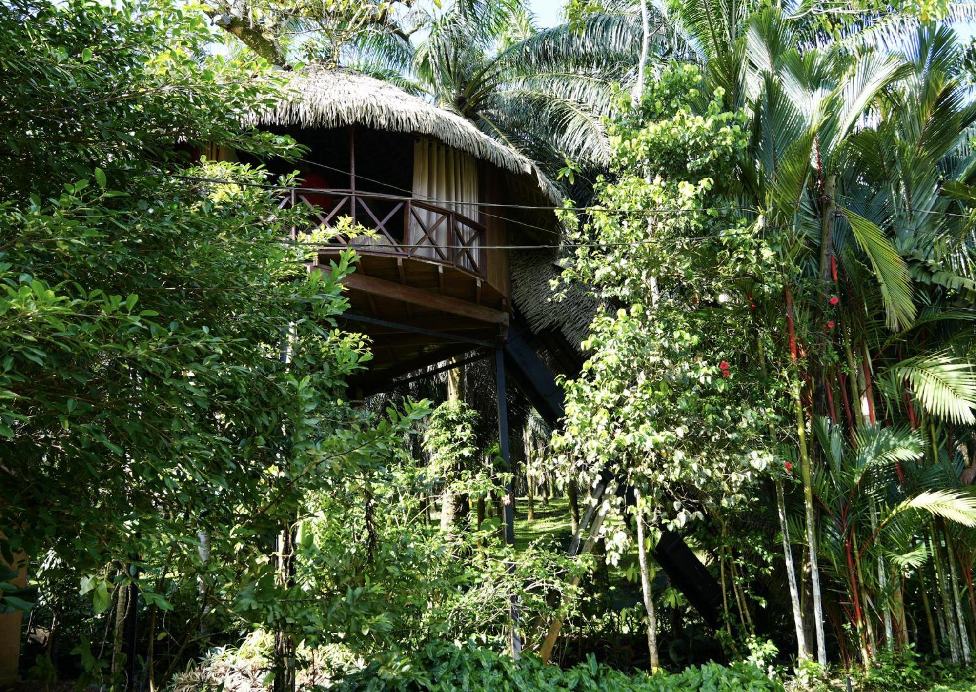 Huma Terra Lodges Hikkaduwa Extérieur photo