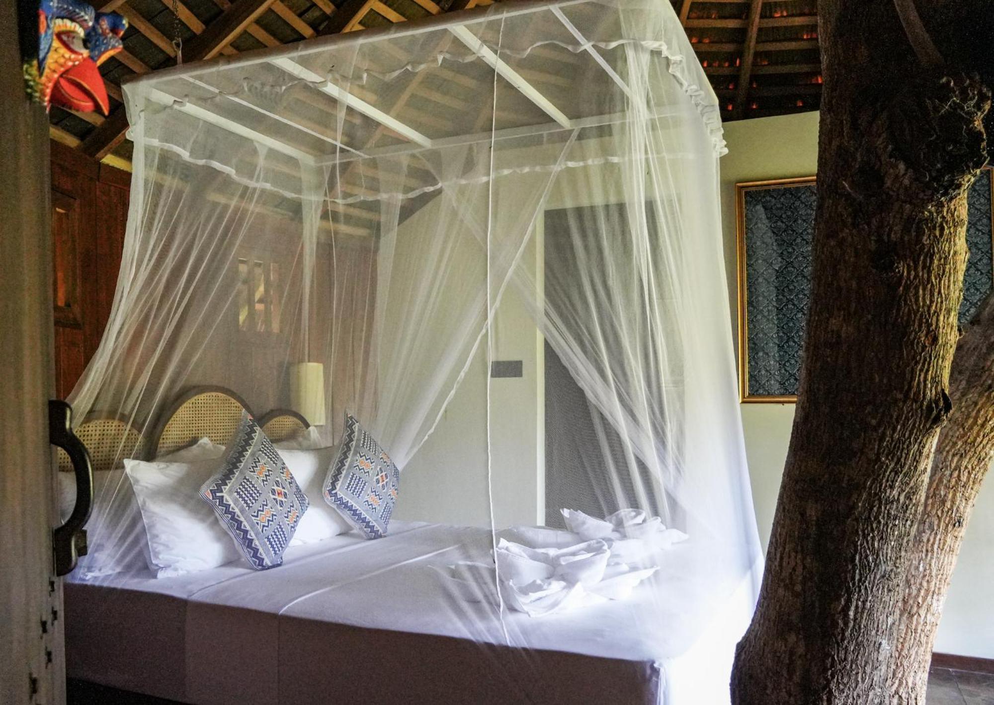 Huma Terra Lodges Hikkaduwa Extérieur photo